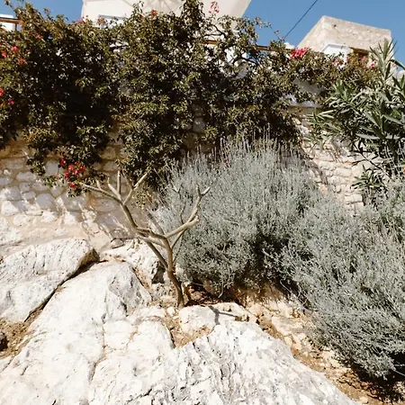 Luce * Chalki Town